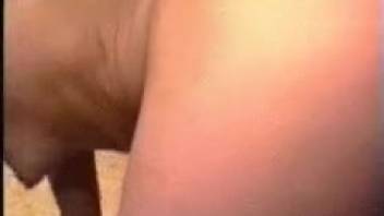 Long-legged sluts being screwed by a massively endowed canine