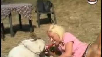 Golden-haired spouse delights in canine interaction for bestiality warmup
