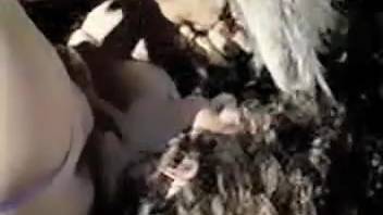 Spouse restrains goat for hubby to screw it outside