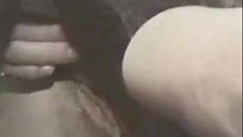 Hot woman senses the full dog dick thrusting deep into her vagina intensely