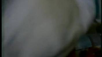 Intense sex clip featuring a large-assed teen 18+ animal fucker