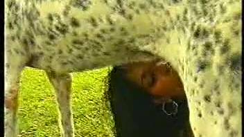 Alluring young women explore sexual activities alongside their skilled canines