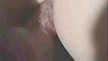 Intense sex bash with a sexy blonde babe