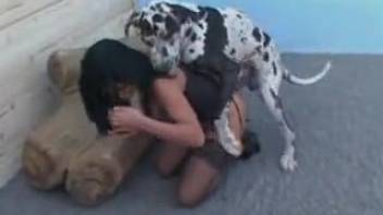 Sexy Latina allows canine to insert his cock into her steamy cunt