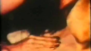 Ideal classic animal sex scene with attractive dogs and passionate zoophiles