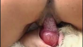 Outdoor canine intercourse for the solitary housewife in estrus