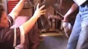 Collection of the steamiest farm animal sex scenes featuring a MILF