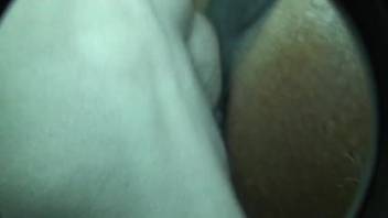 Intense close-up bestiality with horses in savage positions recorded on video