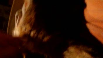 Homemade doggy style adult video with extreme close-up shots in private XXX fun