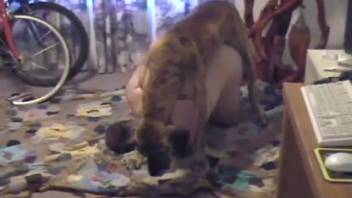 Well-endowed guy gets rammed from behind by his big-cocked canine