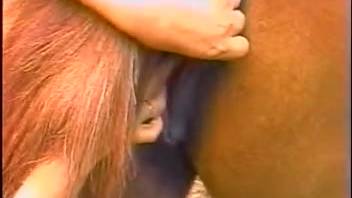 Intense outdoor footage of horse fucking featuring females hooked on enormous dicks