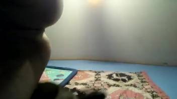 Aroused chick's snug pussy is pounded and tongued