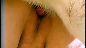 Gorgeous Labrador dog has sex with filthy owner in the bird enclosure
