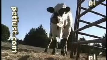Guy in tight jeans bangs a hot chick from behind