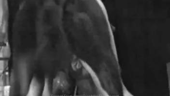 Rear-entry pounding in an intense monochrome bestiality porn clip