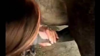 Girl 18+ with ponytail licks a stud's dick before intercourse