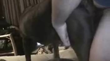 Guy thrusts his thick hard-on into a bitch's snug cunt