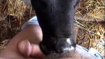 Naughty vixen gets deepthroated by a hung stud