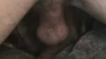 Guy screwing a tiny but incredibly hot creature
