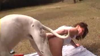 Backyard bestiality thrills for the narrow-reared spouse