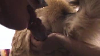Plump older women employing a dog as their sexual plaything in intense bestiality encounters