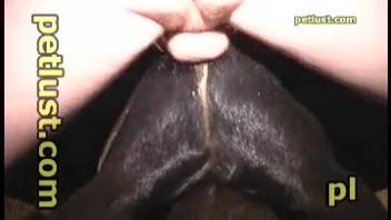 Guy pounding a beast's tiny snug pussy from the rear