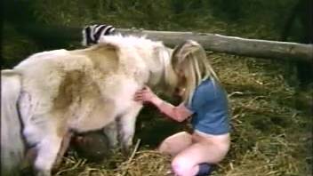 Adult bestiality enthusiast performs oral sex on a pony while lying in hay