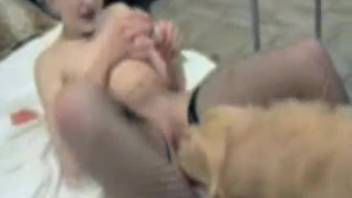 Hottie in stockings being pounded by a canine