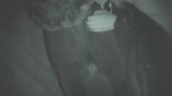Guy fist-pounding a female horse's vagina before deep penetration sex