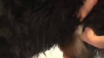 Aroused dude stroking a canine's leaking dick live on webcam
