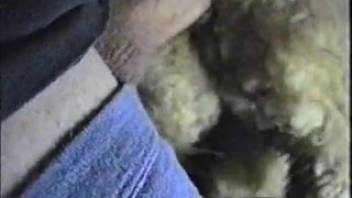 Well-endowed beast lover plunges his dick far into a ewe's pussy