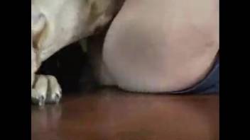 Homemade bestiality in retro clips featuring aroused females