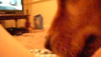 Guy with a massive boner gets tongued by a canine