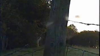 Massive horse cock gets the excited bestiality enthusiast salivating