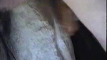 Equine vagina stretches wide after an intense session of rough intercourse