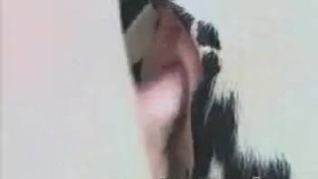 A sexually excited mutt with a snug cunt gets pounded roughly