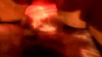 Nasty sex tape with canines and snug orifices