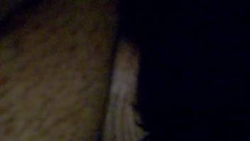 Guy pounding a beast's moist vagina from the rear