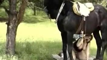 Voluptuous whore being pounded beside a well-hung stallion