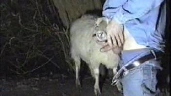 Guy in full denim outfit banging a sheep's adorable mug