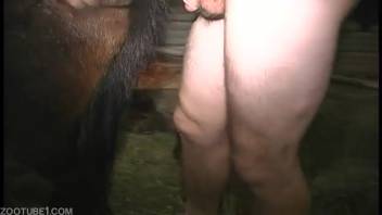 Sexy blonde bangs a cow using a strap-on with her closest friend