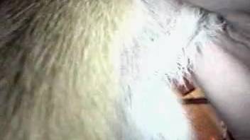 Extreme zoophilia session with a well-endowed beast, fierce animal copulation