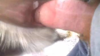 Stretching this creature's enticing vaginal opening on webcam