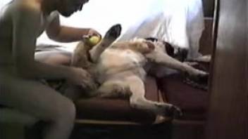 Guy fingering and dildo-pounding a bitch's orifice