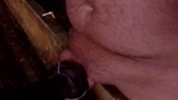 Guy receives a fantastic oral sex from an alluring barnyard creature