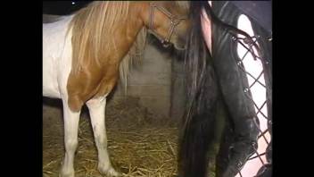 A tight woman experiences a massive equine penis thrusting into her forcefully