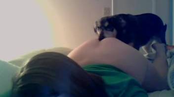 Youthful dark-haired webcam model having her vagina tongued by a canine