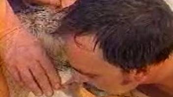 Guy with a mustache adores a female goat's vagina