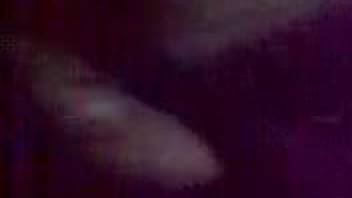 Detailed footage of intense beastial intercourse, incredible