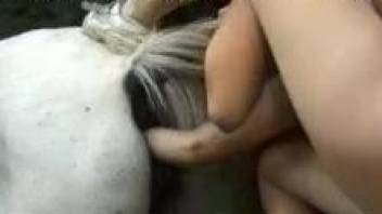 White mare gets fisted in a bestiality orgy scene